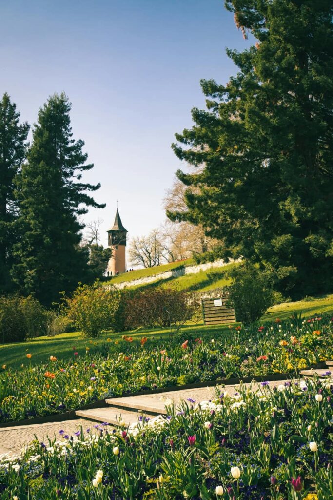 Gepflegter Garten mit Staudenbeeten und Rasenweg